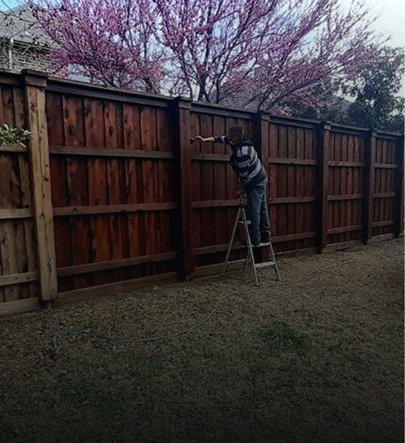 Person staining a wooden fence with sprayer.